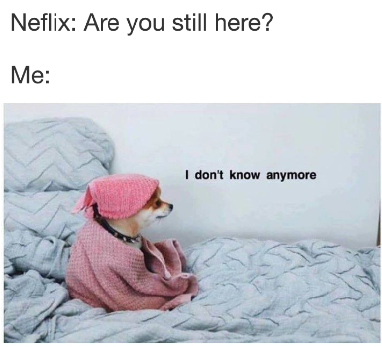 Always Here - Memebase - Funny Memes