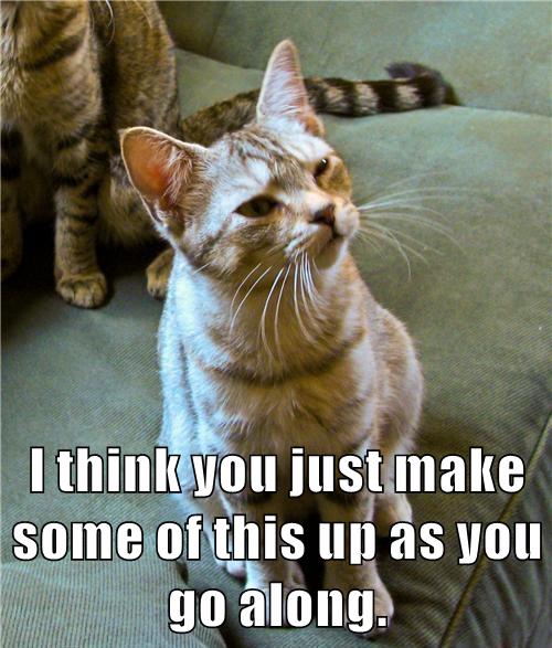 I think - Lolcats - lol | cat memes | funny cats | funny cat pictures ...