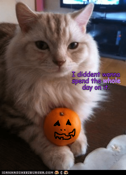 KKPS Paint Your Pumpkin - 2017 - Lolcats - lol | cat memes | funny cats ...