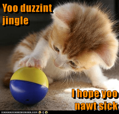 Jingle - Lolcats - lol | cat memes | funny cats | funny cat pictures ...