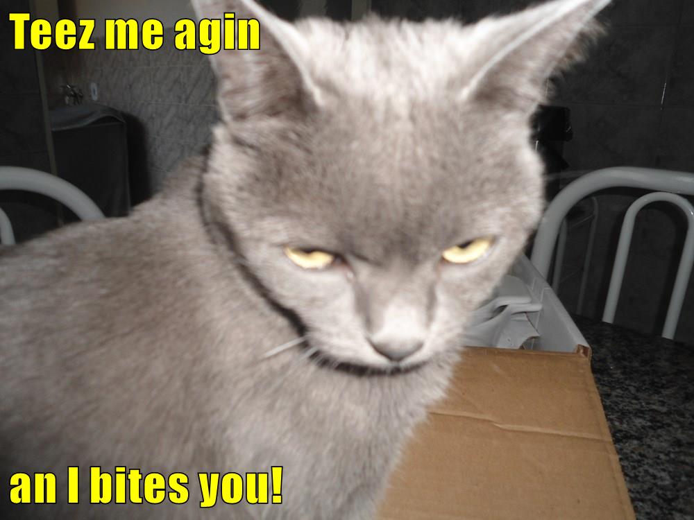 Teez me agin an I bites you! - Lolcats - lol | cat memes | funny cats