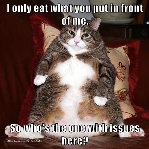 Issues? Me? - Lolcats - lol | cat memes | funny cats | funny cat ...