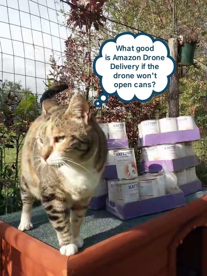 Next time I'm getting a delivery human - Lolcats - lol