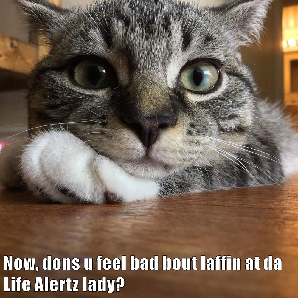 Now, dons u feel bad bout laffin at da Life Alertz lady? - Lolcats ...