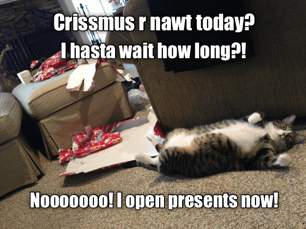 Kitty opens presents when kitty seez presents. - Lolcats - lol | cat ...