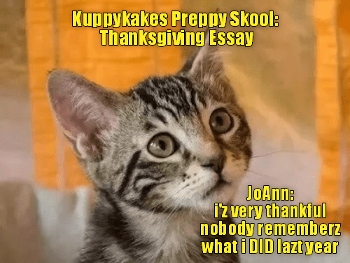 Kuppykakes Preppy Skool Thanksgiving Essay Lolcats 