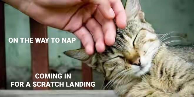 On the way to nap - Lolcats - lol | cat memes | funny cats | funny cat ...