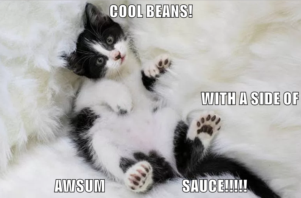 COOL BEANS! WITH A SIDE OF AWSUM SAUCE!!!!! Lolcats lol cat memes