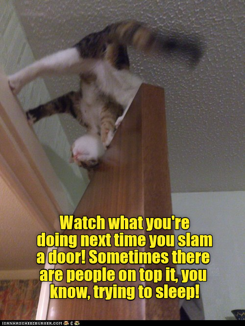 How inconsiderate - Lolcats - lol | cat memes | funny cats | funny cat ...