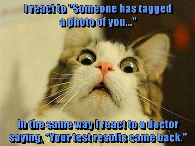 Reactions - Lolcats - Lol 