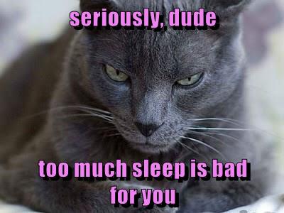 Seriously, dude too much sleep is bad for you - Lolcats - lol | cat