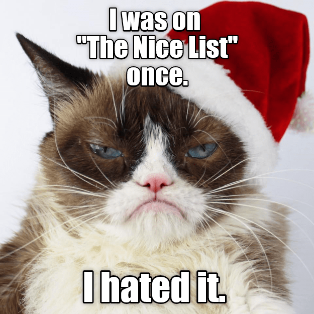 Ho, Ho, Ho yourself - Lolcats - lol | cat memes | funny cats | funny ...