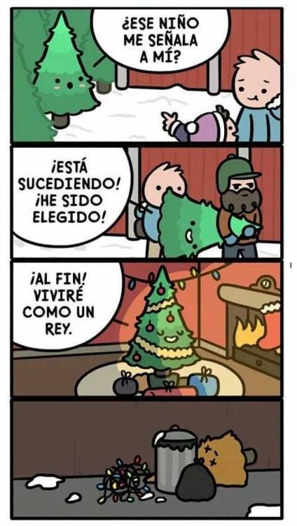 La extremadamente corta vida de los árboles navideños - Loquillo