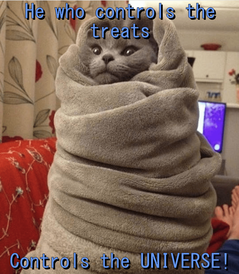 He who controls the treats Lolcats lol cat memes funny cats