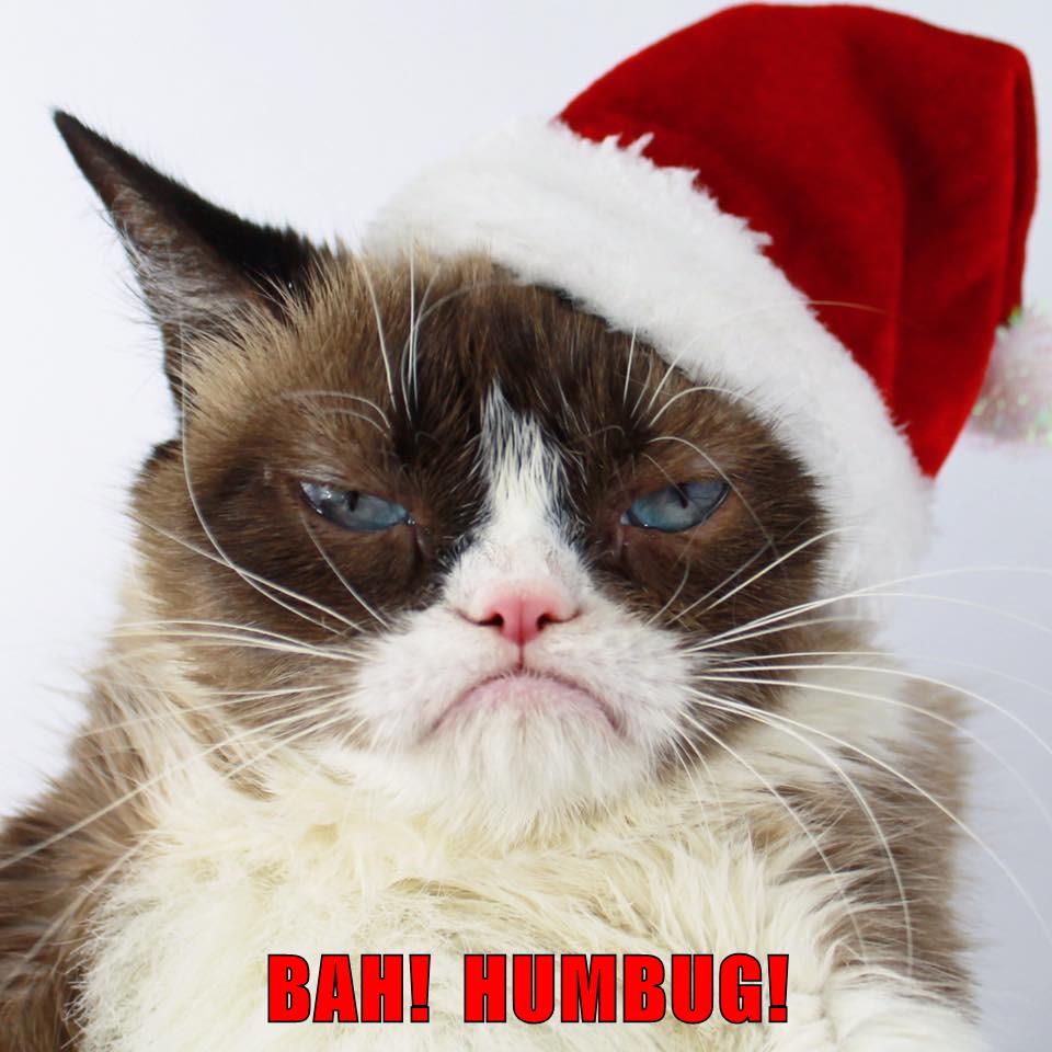 BAH! HUMBUG! - Lolcats - lol | cat memes | funny cats | funny cat ...