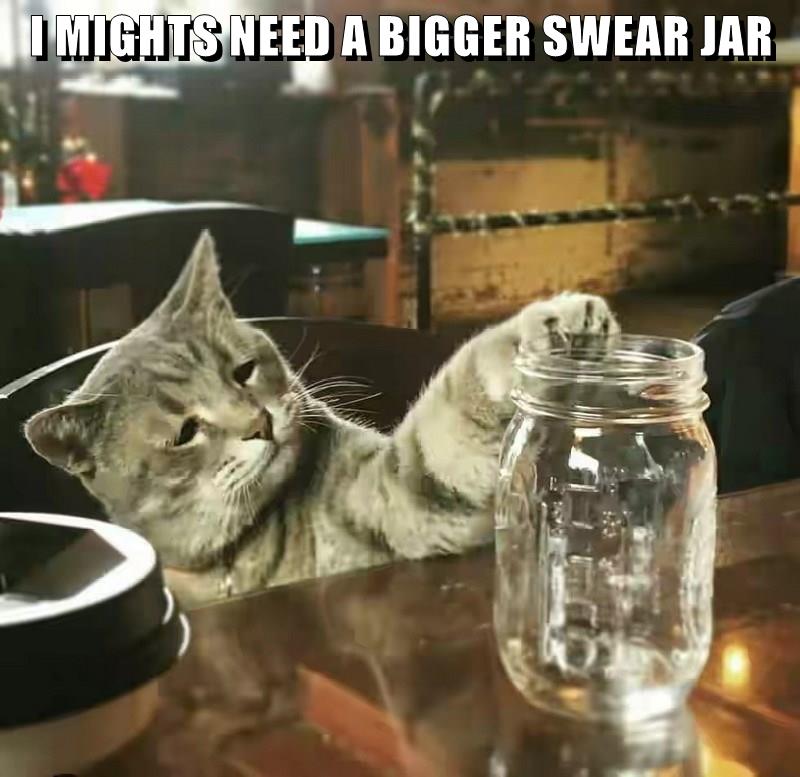 I MIGHTS NEED A BIGGER SWEAR JAR Lolcats lol cat memes funny