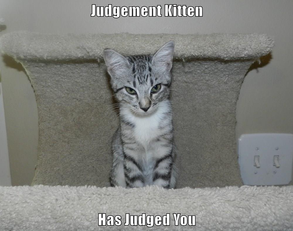 Judgement Kitten Has Judged You Lolcats lol cat memes funny