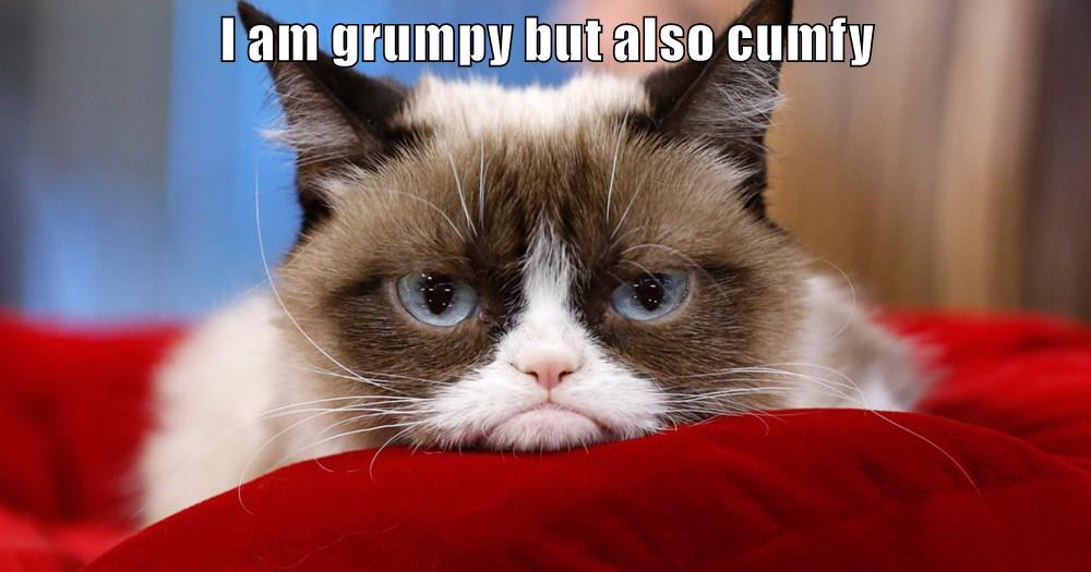 I am grumpy but also cumfy - Lolcats - lol | cat memes | funny cats ...