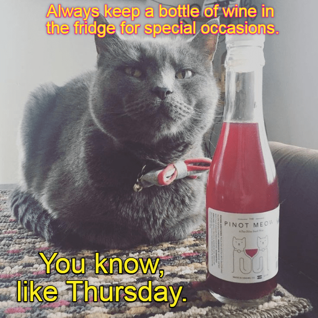 Be like, Yay, Thursday!! - Lolcats - lol | cat memes | funny cats ...