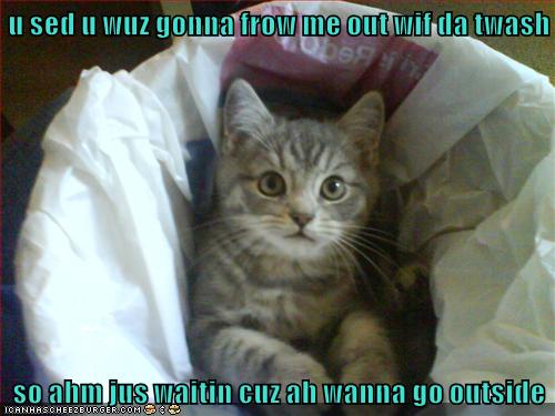 I wanna go outside - Lolcats - lol | cat memes | funny cats | funny cat ...