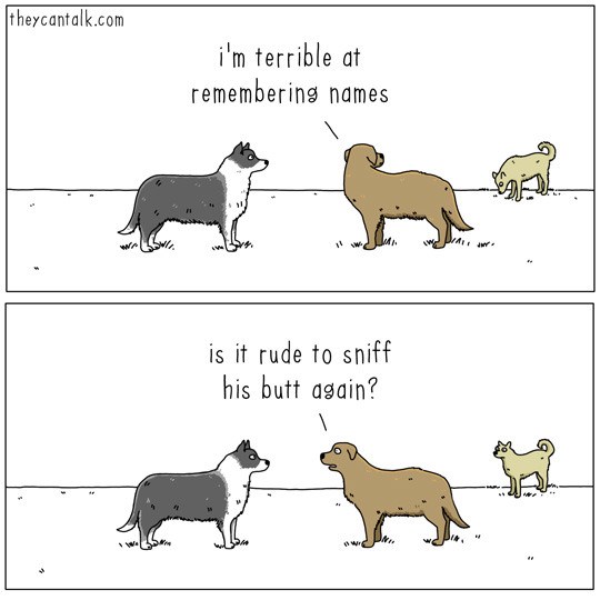 Terrible At Remembering Names I Can Has Cheezburger?