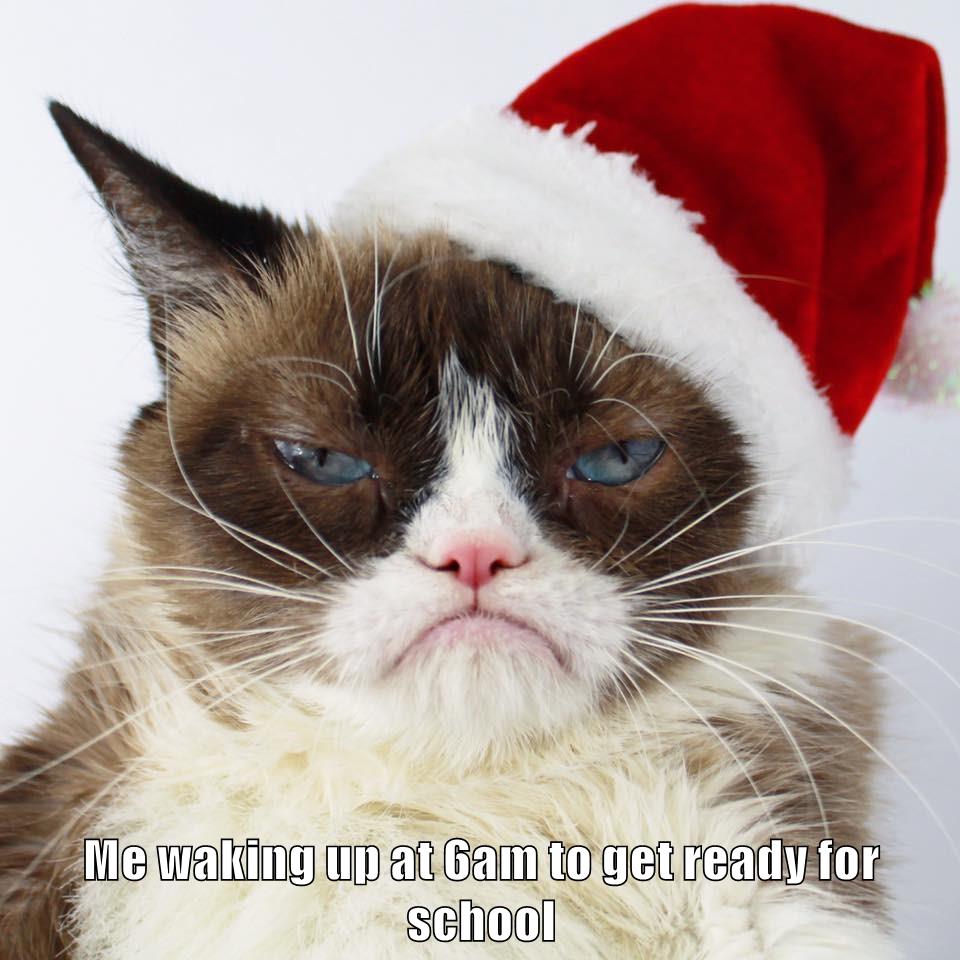 Me waking up at 6am to get ready for school - Lolcats - lol | cat memes ...