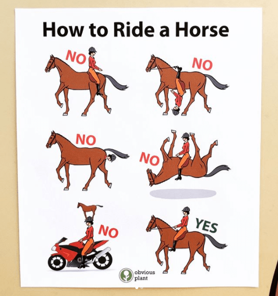 How To Ride a Horse I Can Has Cheezburger?