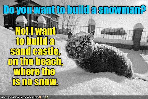 I'm sick of snow. - Lolcats - lol | cat memes | funny cats | funny cat