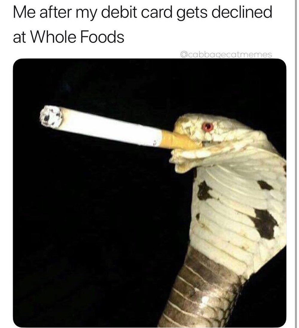 Memebase - snake - All Your Memes In Our Base - Funny Memes - Cheezburger