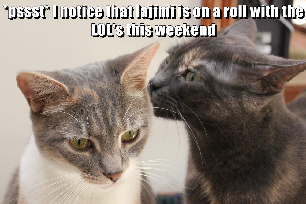 *pssst* - Lolcats - Lol 