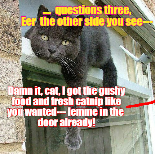 Oh, well, off ya go then! - Lolcats - lol | cat memes | funny cats ...