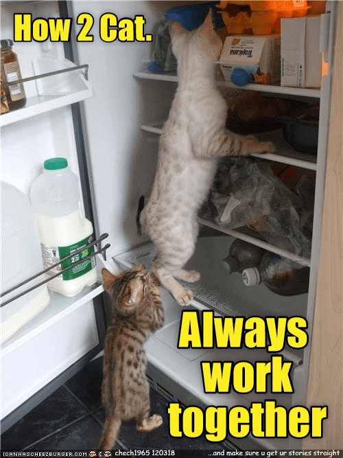 How 2 Cat. - Lolcats - lol | cat memes | funny cats | funny cat ...