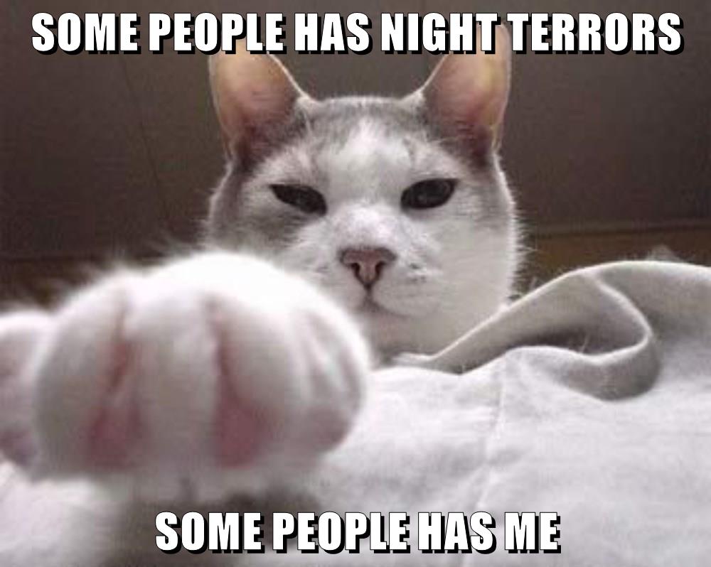 ME - Lolcats - lol | cat memes | funny cats | funny cat pictures with ...