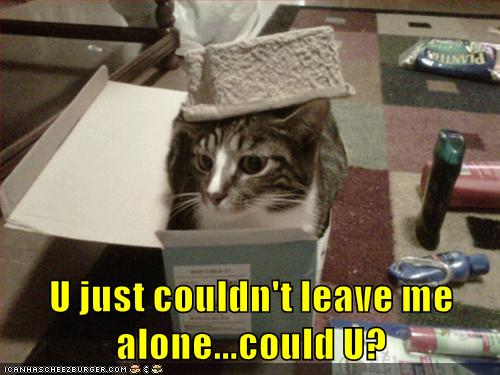 U just couldn't leave me alone...could U? - Lolcats - lol | cat memes ...