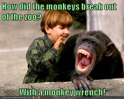 How did the monkeys break out of the zoo? With a monkey ...