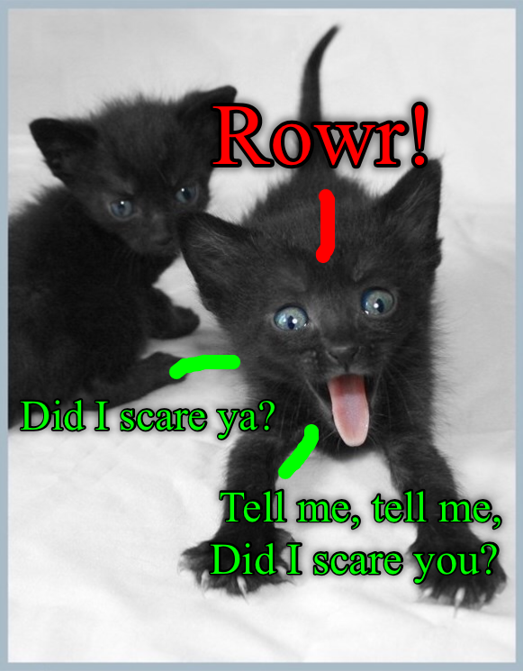 To make my kitten’s day, I’m going to act like I’m TERRIFIED. Lolcats
