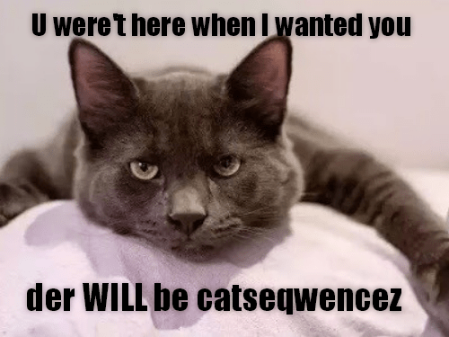 U were't here when I wanted you - Lolcats - lol | cat memes | funny ...