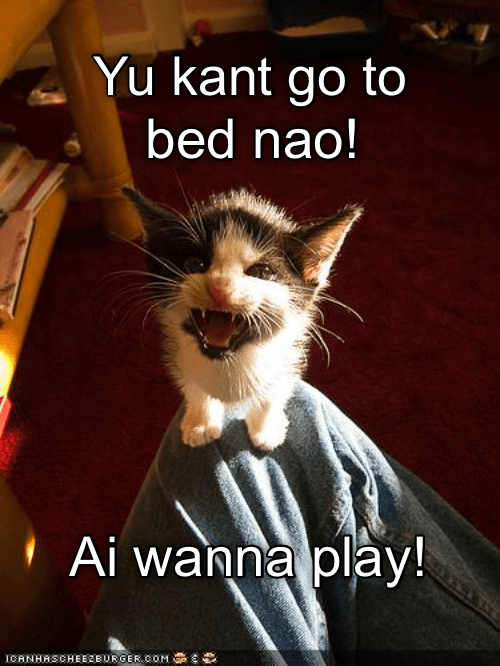 But it's midnight, I'm tired, and I have to work tomorrow! - Lolcats