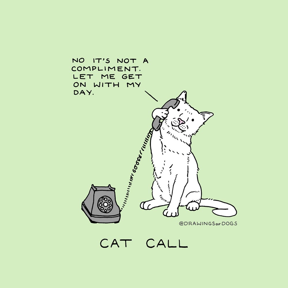 Cat Call - I Can Has Cheezburger?