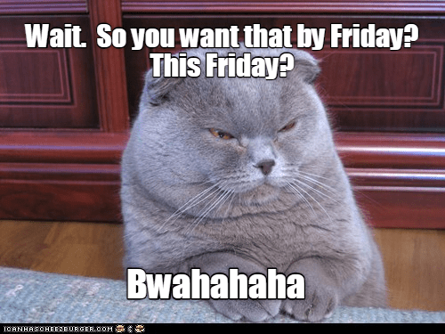 This Friday? - Lolcats - lol | cat memes | funny cats | funny cat ...