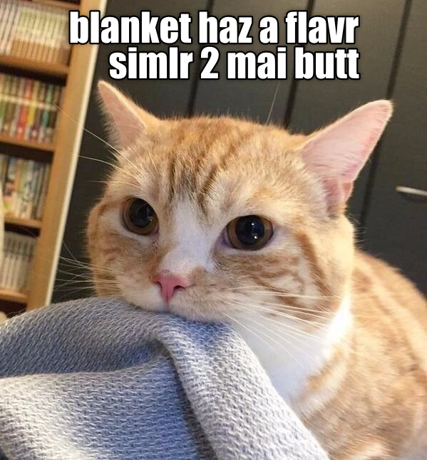 Nom, nom, nom Lolcats lol cat memes funny cats funny cat