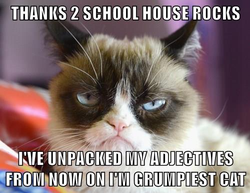 THANKS 2 SCHOOL HOUSE ROCKS - Lolcats - lol | cat memes | funny cats ...