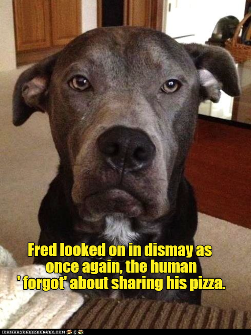 And it is pepperoni, too I Has A Hotdog Dog Pictures Funny