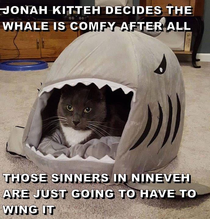 THOSE SINNERS ARE JUST GOING TO HAVE TO WING IT - Lolcats - lol | cat ...