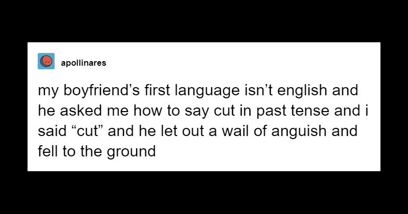 meme  The English Enthusiast