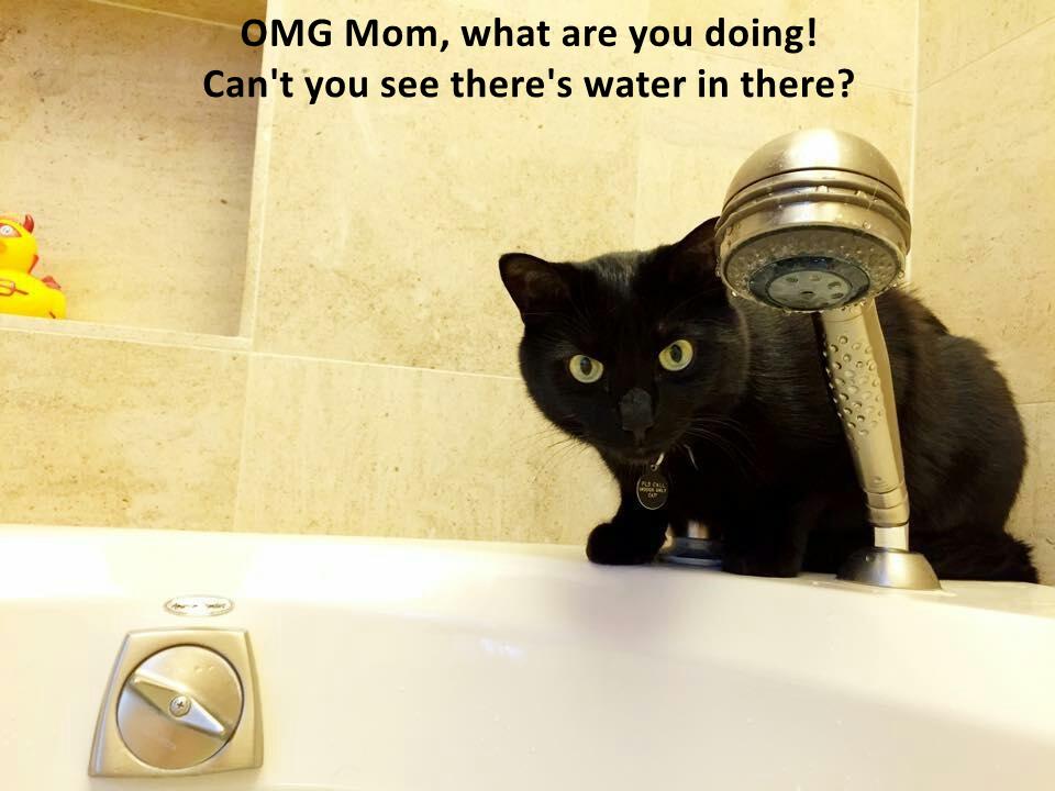 Mom What Are You Doing