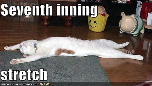 Seventh inning stretch - Cheezburger - Funny Memes | Funny Pictures