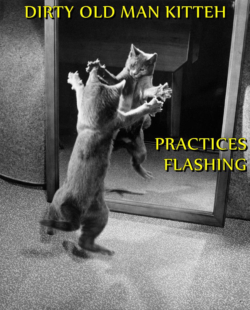 DIRTY OLD MAN KITTEH PRACTICES FLASHING - Lolcats - lol | cat memes | funny  cats | funny cat pictures with words on them | funny pictures | lol cat  memes | lol cats