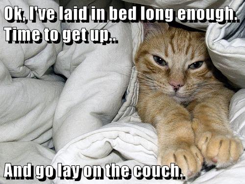 Ok I Ve Laid In Bed Long Enough Time To Get Up And Go Lay On