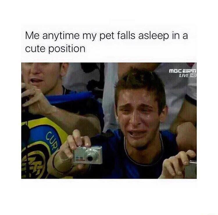 Gets Me Every Time!! Memebase Funny Memes